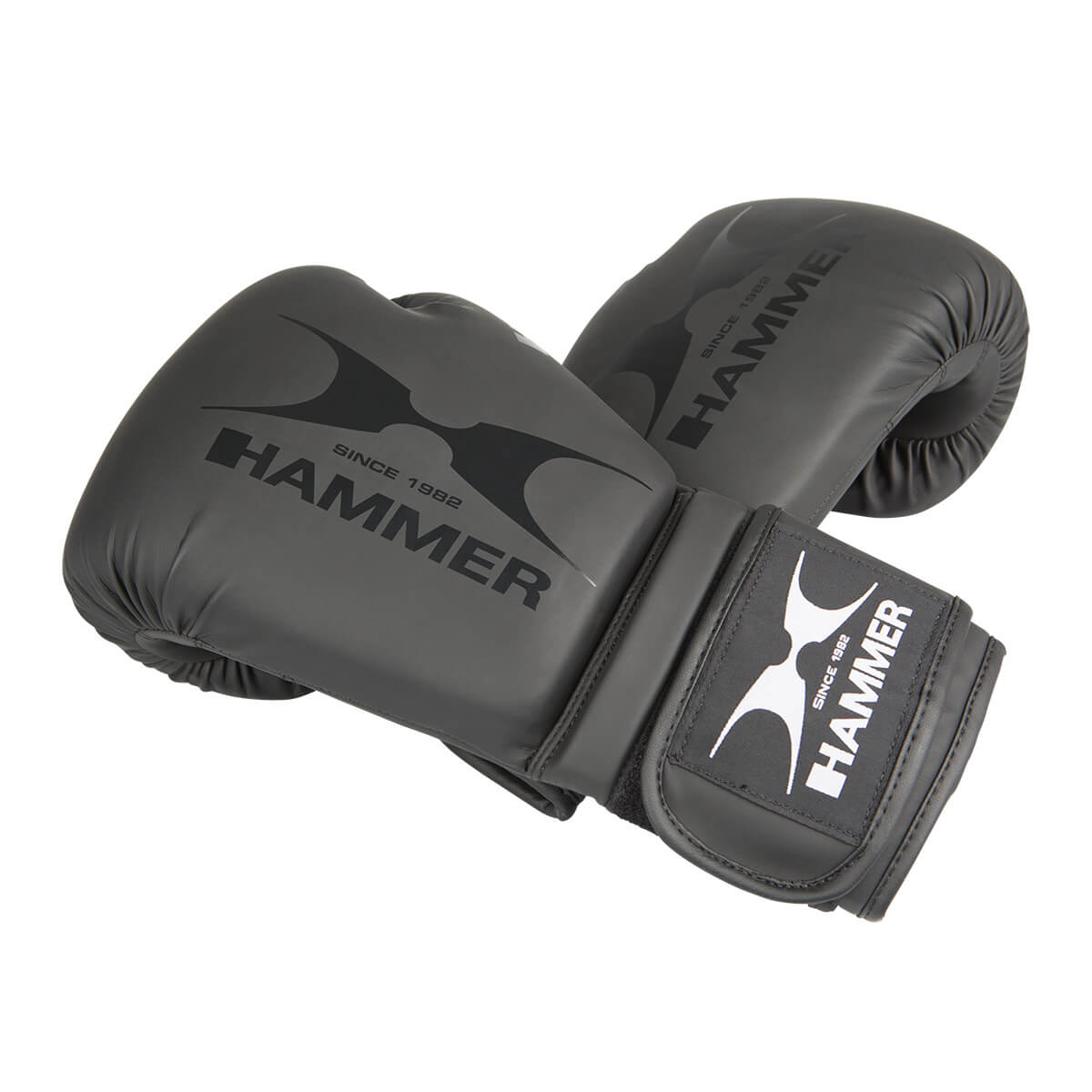 HAMMER BOXING Boxhandschuhe Hawk, schwarz, 12 OZ
